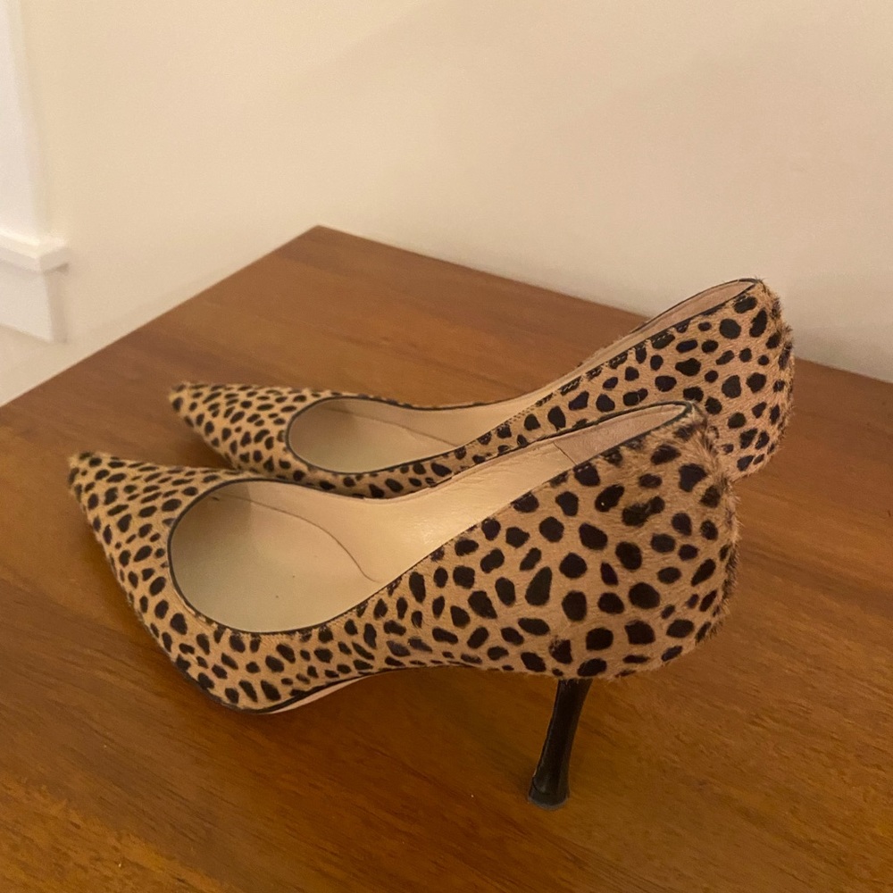 Jimmy Choo leopard calf pumps
